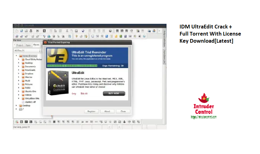 IDM UltraEdit Crack + Full Torrent With License Key Download[Latest]